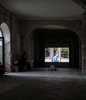 IMG 6984