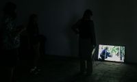 IMG 6994