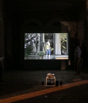 IMG 7037