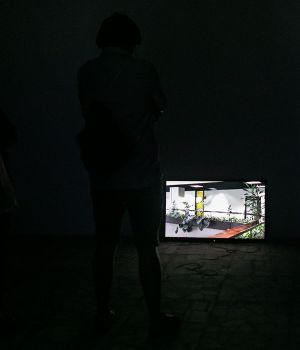 IMG 7039