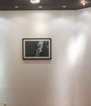 IMG 7044