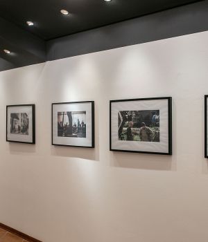 IMG 7045
