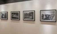 IMG 7047