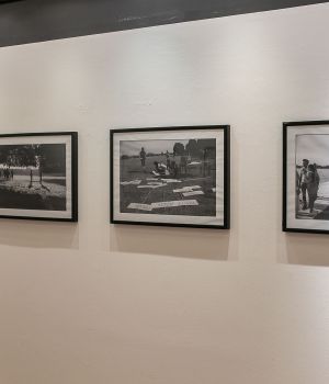 IMG 7047