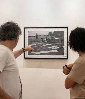 IMG 7053