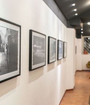 IMG 7056