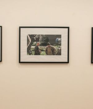 IMG 7058
