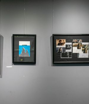 IMG 7142