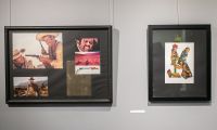 IMG 7143