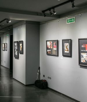 IMG 7203