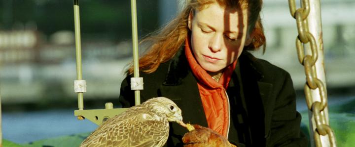 Falcons_Still24-crop